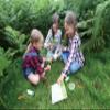 Hape Hand-Powered Flashlight with Case, Made from Bamboo, Nature Fun, Outdoor Toys view 2