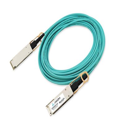 Axiom Memory Solution 10436-Ax Network Cables