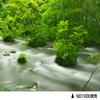 Kenko 295496 PRO ND1000 Professional N 95mm Optimal Adjustment ND Filter view 2