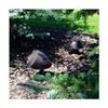 PHASETECH Music Garden Speaker,Brown,60 Max. Wattage view 2