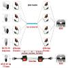 Evertech Split Joint Mini CCTV BNC HD-CVI/TVI/AHD Passive Video Balun Transceiver (Pack of 100) view 3
