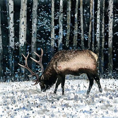 Posterazzi PDXBEGANI489SMALL Caribou in The Winter Forest Photo Print, 18 x 18, Multi
