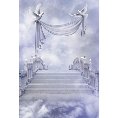 CSFOTO 8x12ft Stairway to Heaven Backdrop Kingdom of God Paradise Stairs Holy Sky Clouds Dove Background Church Event Decorative Props Angel Wings Background Memorial Backdrop for Funeral