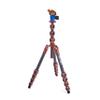 3 Legged Thing Albert Kit 2.0 Carbon Fiber Compact Travel Tripod System with AirHed Pro Ballhead - Earth Bronze (ALBERTKIT2) view 1