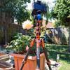 3 Legged Thing Albert Kit 2.0 Carbon Fiber Compact Travel Tripod System with AirHed Pro Ballhead - Earth Bronze (ALBERTKIT2) view 2