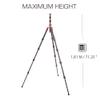 3 Legged Thing Albert 2.0 Carbon Fiber Travel Tripod System Huge Working Height - Earth Bronze (ALBERT2) view 2