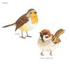 DECOWALL DS2-8038 Little Birds Kids Wall Stickers Wall Decals Peel and Stick Removable Wall Stickers for Kids Nursery Bedroom Living Room (Small) dcor view 4