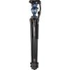 Benro Aluminum Tripod Kit 2-Series Video Tripod with S6PRO Fluid Head, 3-Section Flip Lock Legs, 65mm Flat Base, and Carry Case for DSLR, Mirrorless & Cinema Cameras (A2573FS6PRO) view 2