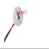 Armature Brush Holder & Brushes Fit for Makita DF458D DHP458 DHP448 DDF458 DDF448 BHP458 BHP448 BDF458 BDF448 DF444D 638991-1 638614-1 CB-440 view 2