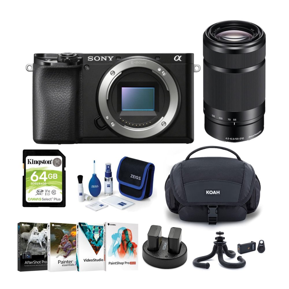 Sony Alpha a6100 APS-C Mirrorless ILC (Body Only) Bundle with 55-210mm f/4.5-6.3 Lens and Soft Case Bundle (8 Items)