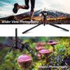 Camera Tripod, 76Professional Horizontal Aluminum Alloy Tripod for DSLR with 360 Degree Ball Head Quick Release Plate, Bubble Fluid Level,Handle and Bag Travel for Canon Sony DSLR Cameras view 3