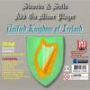 VR-SOFT VIRTUAL REALITY GAMES Swords & Sails: Unified Kingdom of Ireland Minor Player Add-On view 1