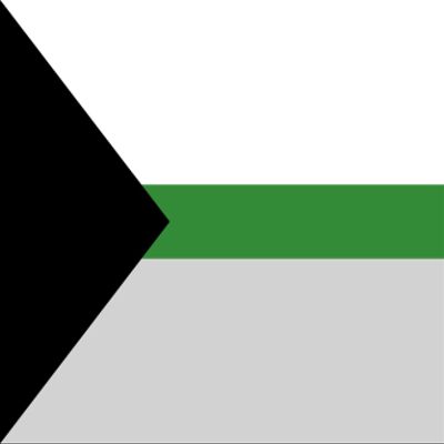 magFlags Large Flag Demiromantic Pride | 90x150cm