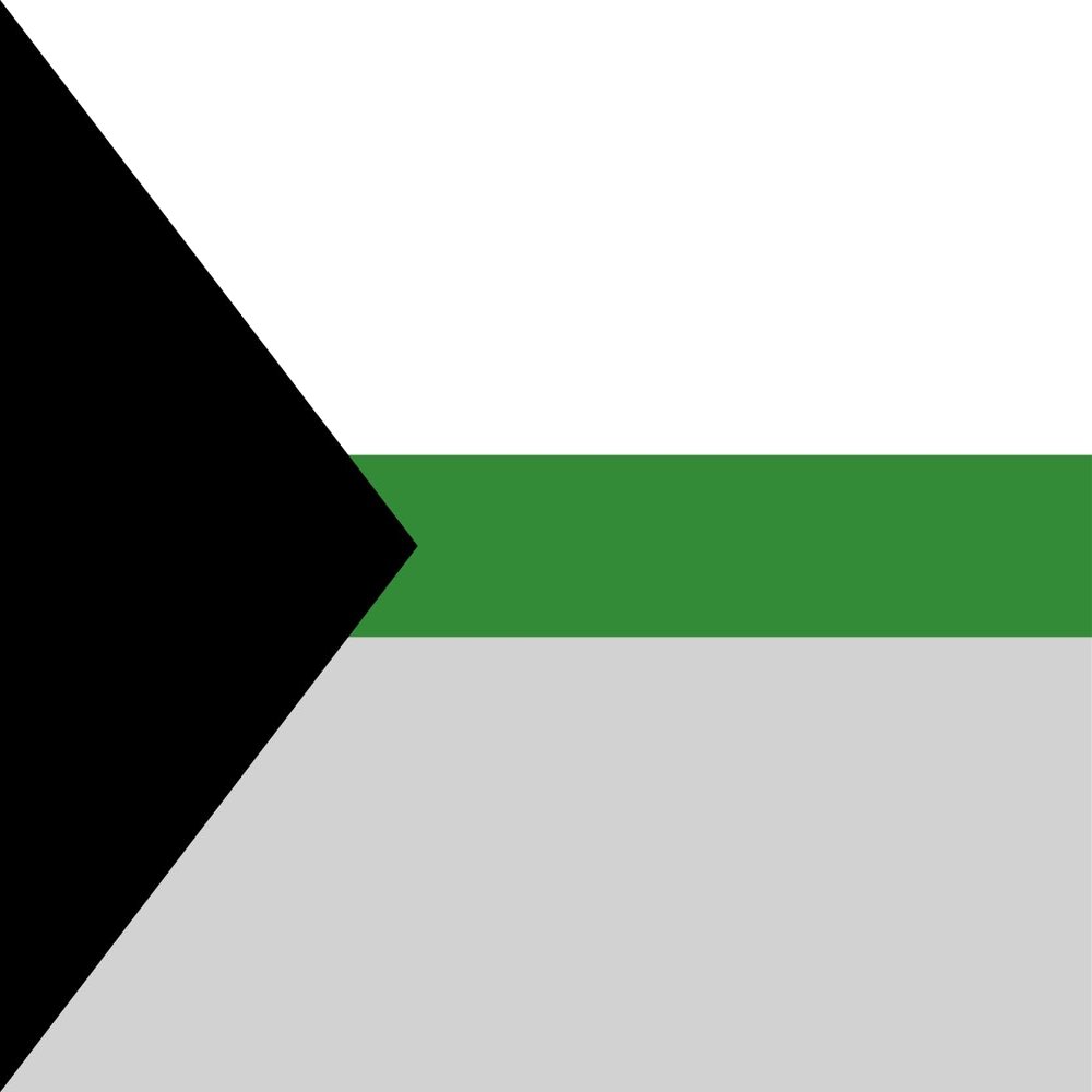 magFlags Large Flag Demiromantic Pride | 90x150cm
