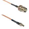 0.5 feet RG316 TNC Female Small Bulk to CRC9 Male RF Pigtail Coaxial Cable view 1