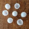 10pcs PIR Optical Fresnel Lens 8005-2 for Human Body Pyroelectric Infrared Sensing Sensor view 1