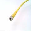 RADWELL RAD08324 2M, 4-PIN, Cord Set, Female Straight, M8 PICO, PUR view 1