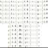 2014SVS5/D4GE-550 LED Strips view 1