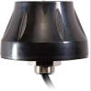 2 Combo LTE Version Including 700MHz Band 4G 3G and GPS Combination Antenna Dual Antenna Combo Antenna view 1