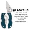 Spyderco Ladybug 3 Folding Pocket Knife with 1.9" K390 Steel Blade and FRN Handle - EDC Knife for Men and Women, Perfect for Hunting, Tactical, Camping, Survival, Hiking - PlainEdge - LFP3K390 view 2