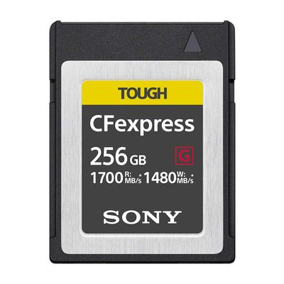 Sony CEB-G256 [256GB] XQD Memory Cards Japan Domestic