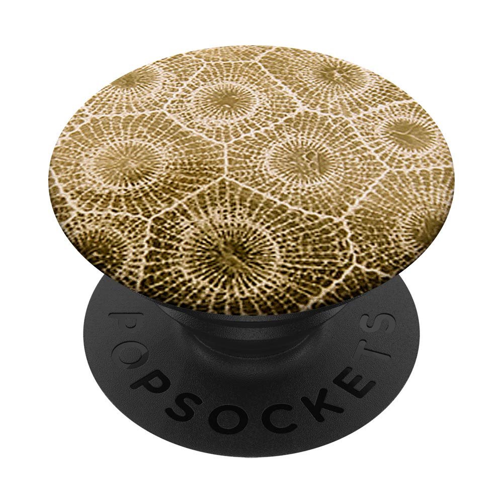 Cool Petoskey Stone Rocks Pattern Design Background Gift PopSockets Grip and Stand for Phones and Tablets