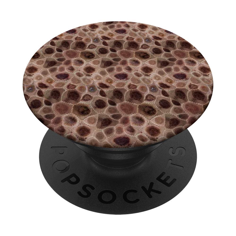 Cool Petoskey Stone Rocks Pattern Design Background Gift PopSockets Grip and Stand for Phones and Tablets