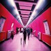 Lomochrome Purple 35 mm ISO 100-400 view 3