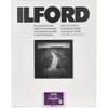 Ilford Multigrade V RC Deluxe Pearl Surface Black & White Photo Paper, 190gsm, 8x10, 50 Sheets view 1