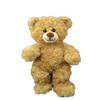 BEAREGARDS.COM Recordable Talking Teddy Bear 8" Black Bear with 20 sec Digital Recorder view 1