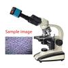 37MP 1080P 60FPS USB Microscope Camera Video HDMI Industry Microscope Camera with Conversion Adapter, 100-240V Digital Camera C Mount view 3