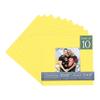 CountryArtHouse Vibrant Yellow Acid Free 20x20 Picture Frame Mats with White Core Bevel Cut for 10x10 Pictures - Fits 20x20 Frame - Pack of 10 Mats view 1