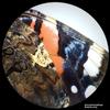 Bresser Analyth Str 10X - 40X Stereo Microscope, Black view 2
