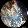 Bresser Analyth Str 10X - 40X Stereo Microscope, Black view 4