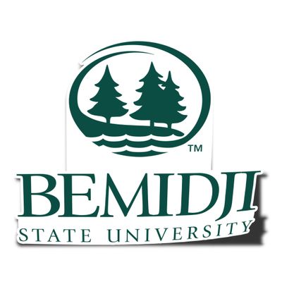 Desert Cactus Bemidji State University Sticker BSU Beavers Vinyl Decal Laptop Water Bottle Car Scrapbook (IND 00015)