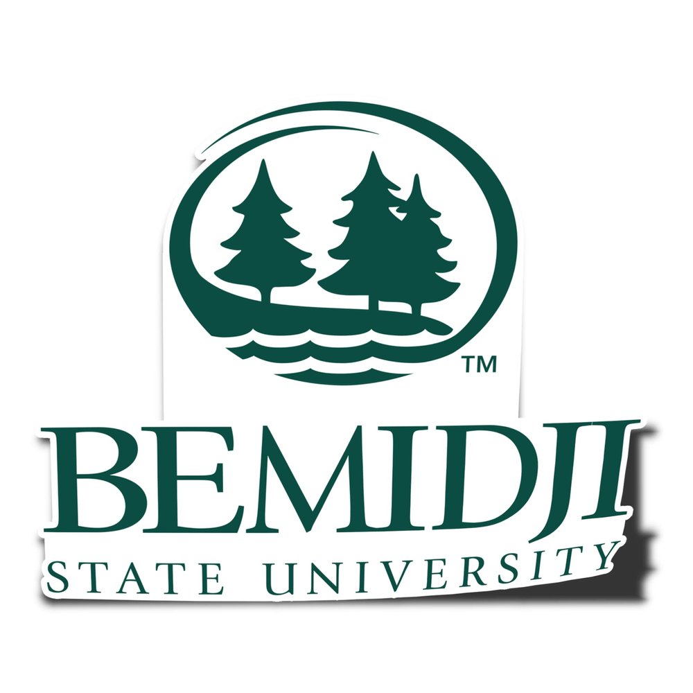 Desert Cactus Bemidji State University Sticker BSU Beavers Vinyl Decal Laptop Water Bottle Car Scrapbook (IND 00015)