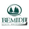 Desert Cactus Bemidji State University Sticker BSU Beavers Vinyl Decal Laptop Water Bottle Car Scrapbook (IND 00015) view 1