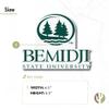 Desert Cactus Bemidji State University Sticker BSU Beavers Vinyl Decal Laptop Water Bottle Car Scrapbook (IND 00015) view 3