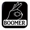 OK Boomer Decal Sticker TP 1185 Vinyl 6" Gen z Meme Baby view 1