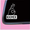 OK Boomer Decal Sticker TP 1185 Vinyl 6" Gen z Meme Baby view 2
