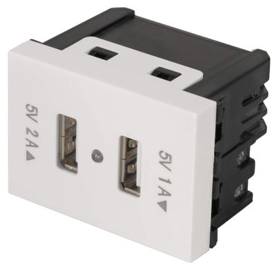 2 Port USB 1.5 modules, line Spanish, color white