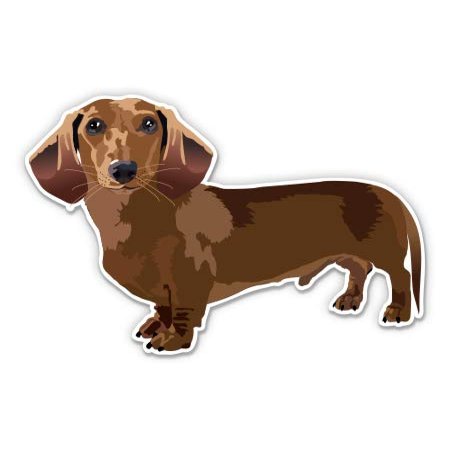 Dachshund Cute Dog Breed - 3" Vinyl Sticker - for Car Laptop I-Pad Phone Helmet Hard Hat - Waterproof Decal