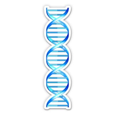 DNA Strand Double Helix Science Gemone - 3" Vinyl Sticker - for Car Laptop I-Pad Phone Helmet Hard Hat - Waterproof Decal