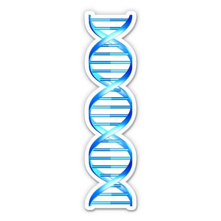 DNA Strand Double Helix Science Gemone - 3" Vinyl Sticker - for Car Laptop I-Pad Phone Helmet Hard Hat - Waterproof Decal