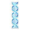 DNA Strand Double Helix Science Gemone - 3" Vinyl Sticker - for Car Laptop I-Pad Phone Helmet Hard Hat - Waterproof Decal view 1
