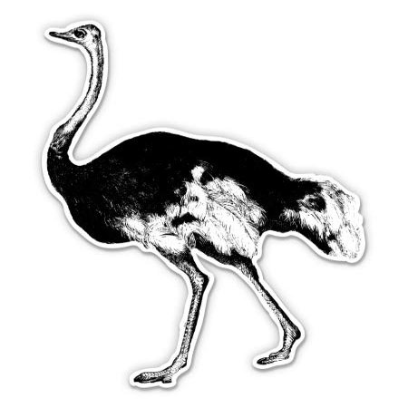 Ostrich - 3" Vinyl Sticker - for Car Laptop I-Pad Phone Helmet Hard Hat - Waterproof Decal