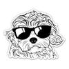 Cute Dog Sunglasses Maltese - 5" Vinyl Sticker - for Car Laptop I-Pad - Waterproof Decal view 1