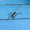 Comimark 10Pcs LCR0203 LCR-0203 Linear optocoupler DIP-4 view 2