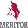 Genuine Meritor R302781A EQUALIZER view 1