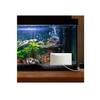 Panasonic HomeHawk Window Home Monitoring Camera for Outdoor Monitoring, Mounts to Inside Window, Color Night Vision, Wide Angle, 24/7 Full HD Recording, Person Detection, Alexa Compatible KX-HNC500 view 4